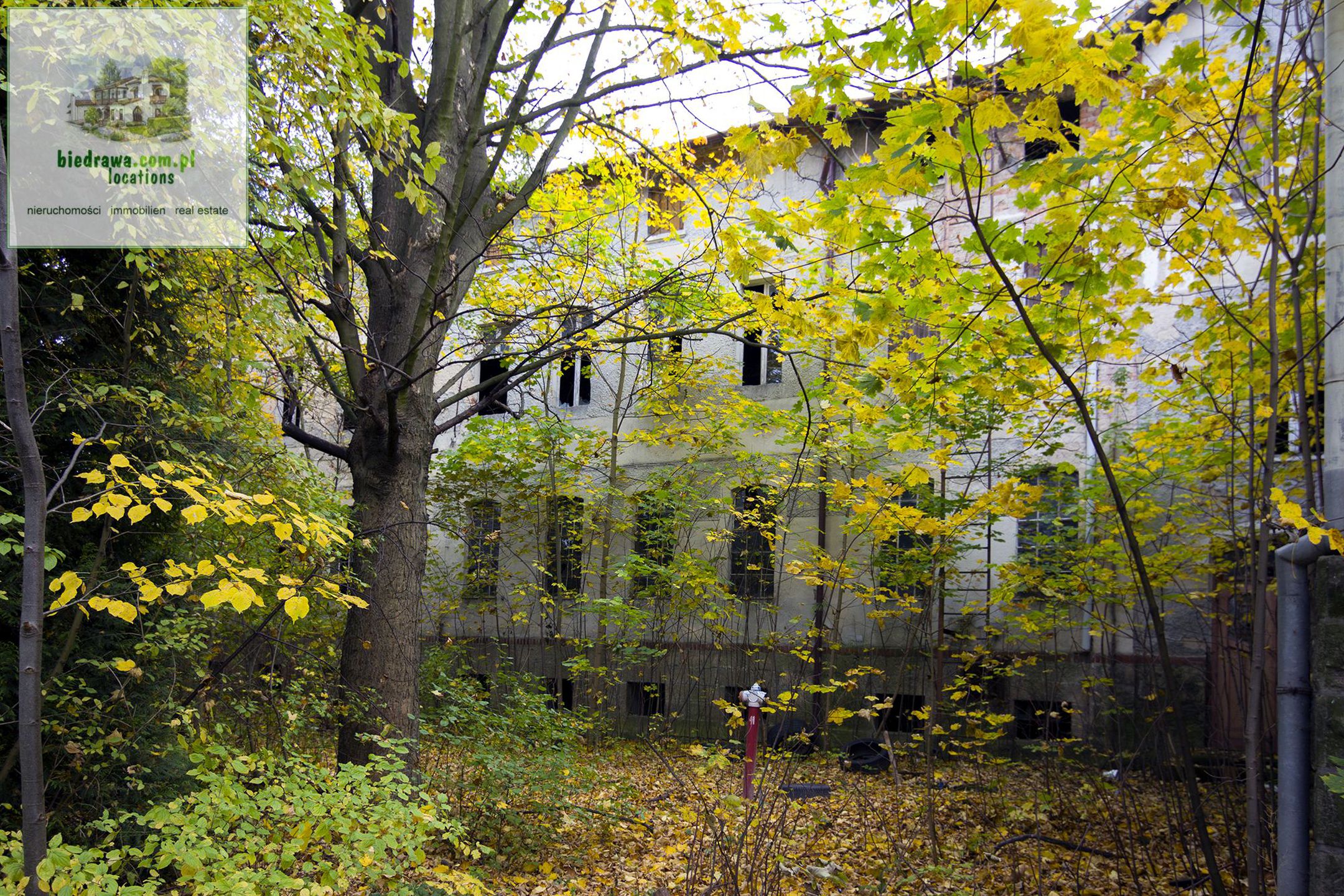 Duszniki-Zdrój, teren/obiekt do adaptacji przy głównej ulicy, WZ! - zdjęcie 5