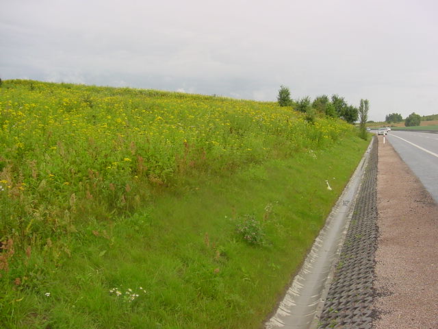 Działka inwestycyjna 2,00&nbsp;ha, Jankowo Gdańskie, OBWODOWA - zdjęcie 1