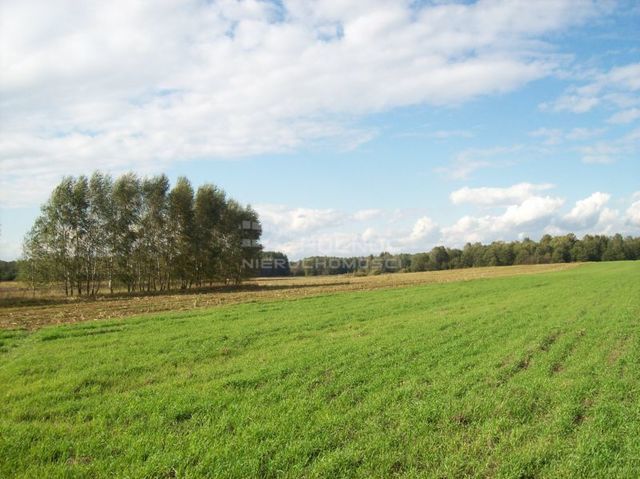 Działka rolna 3001 m², Janowicze - zdjęcie 1