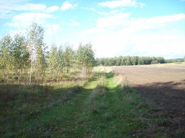 Działka rolna 3001 m², Janowicze - zdjęcie 3
