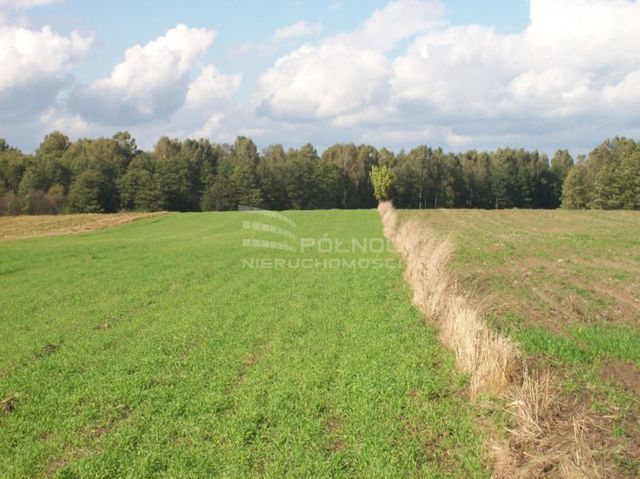 Działka rolna 3001 m², Janowicze - zdjęcie 4