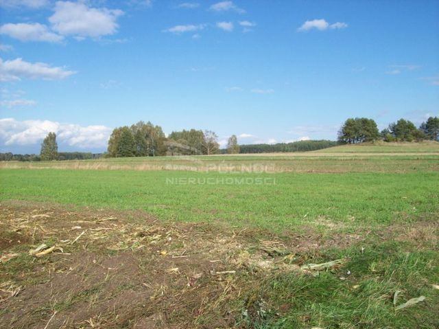 Działka rolna 3001 m², Janowicze - zdjęcie 2