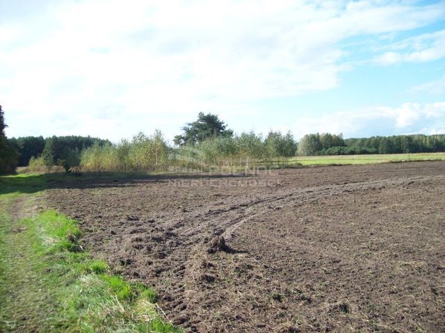 Działka rolna 3001 m², Janowicze - zdjęcie 5