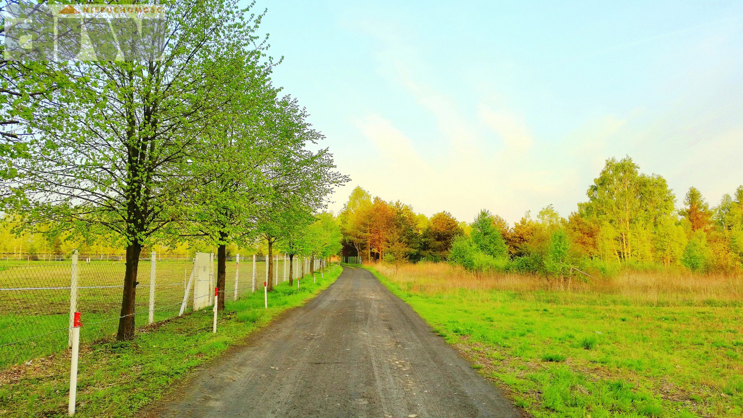 Rolna pod lasem 3000 m2, Mariew - zdjęcie 1