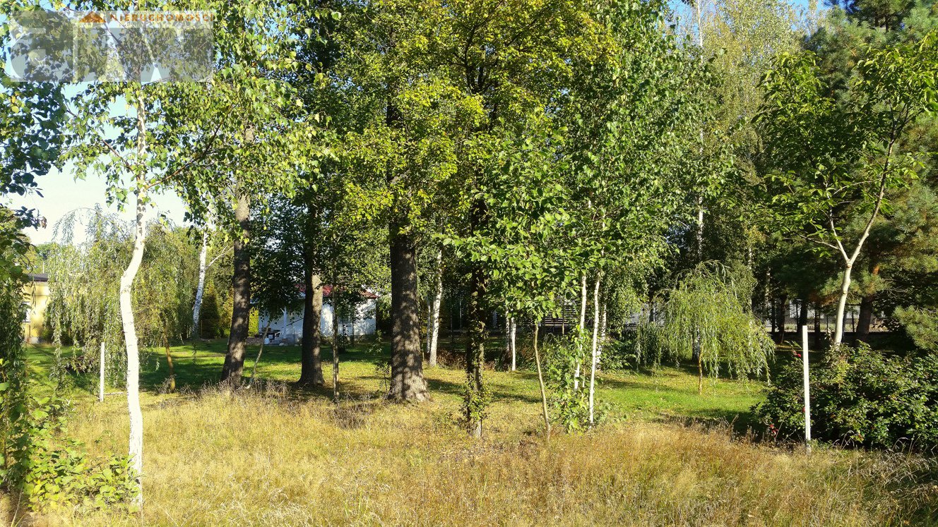 Narożna działka w Hornówku, wybierz najlepszą stronę świata dla siebie - zdjęcie 2