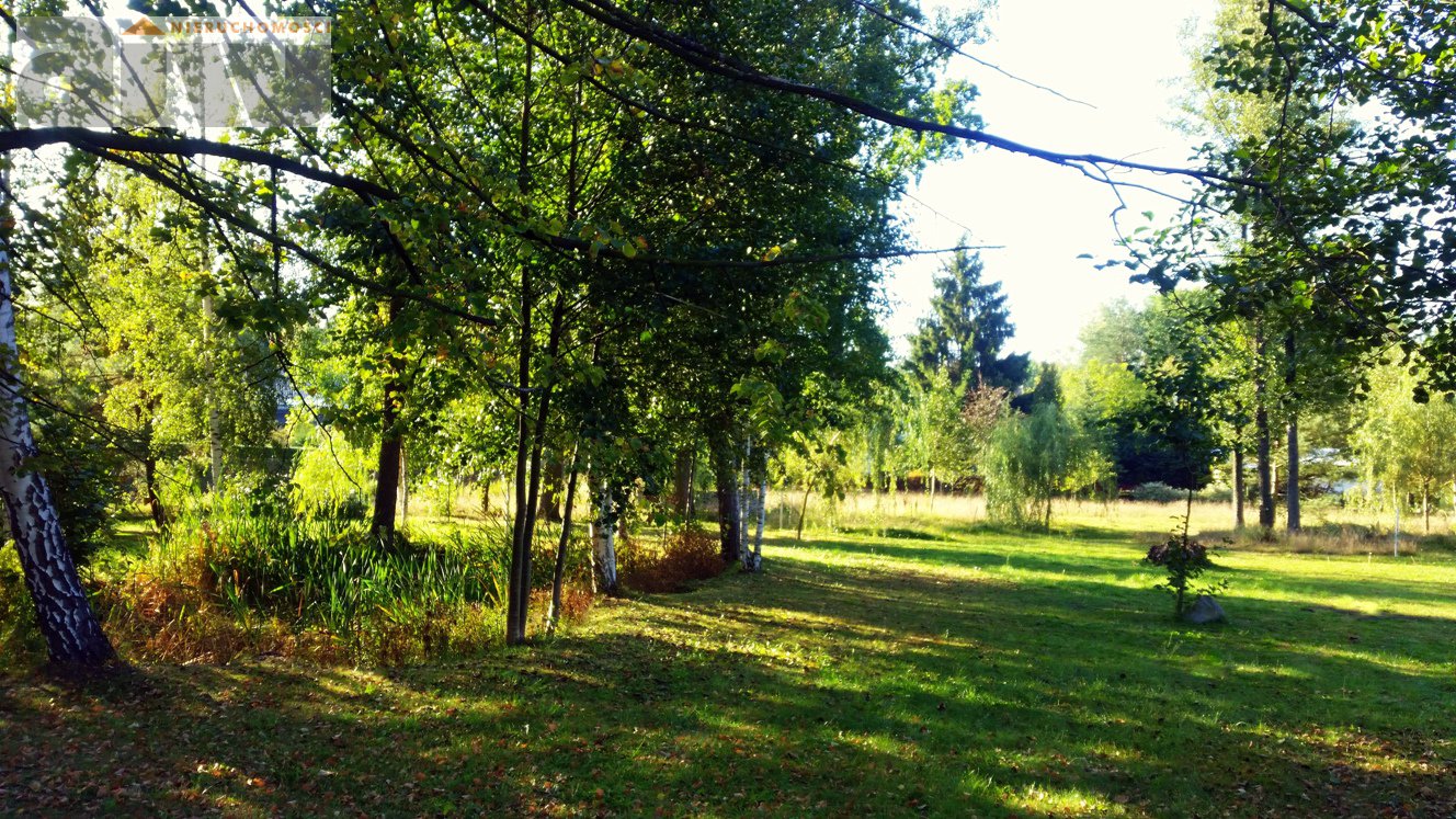 Narożna działka w Hornówku, wybierz najlepszą stronę świata dla siebie - zdjęcie 3