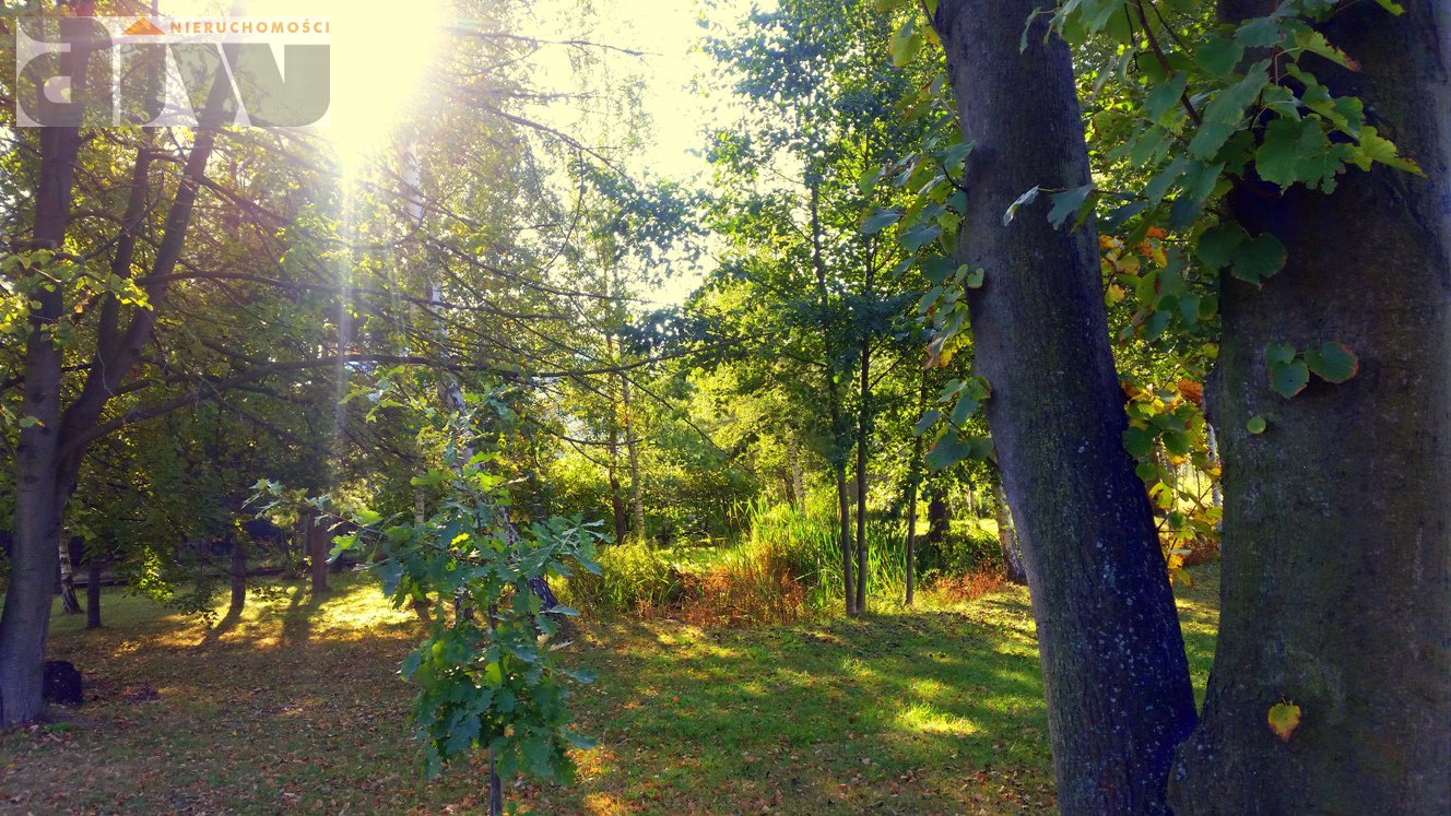 Narożna działka w Hornówku, wybierz najlepszą stronę świata dla siebie - zdjęcie 4