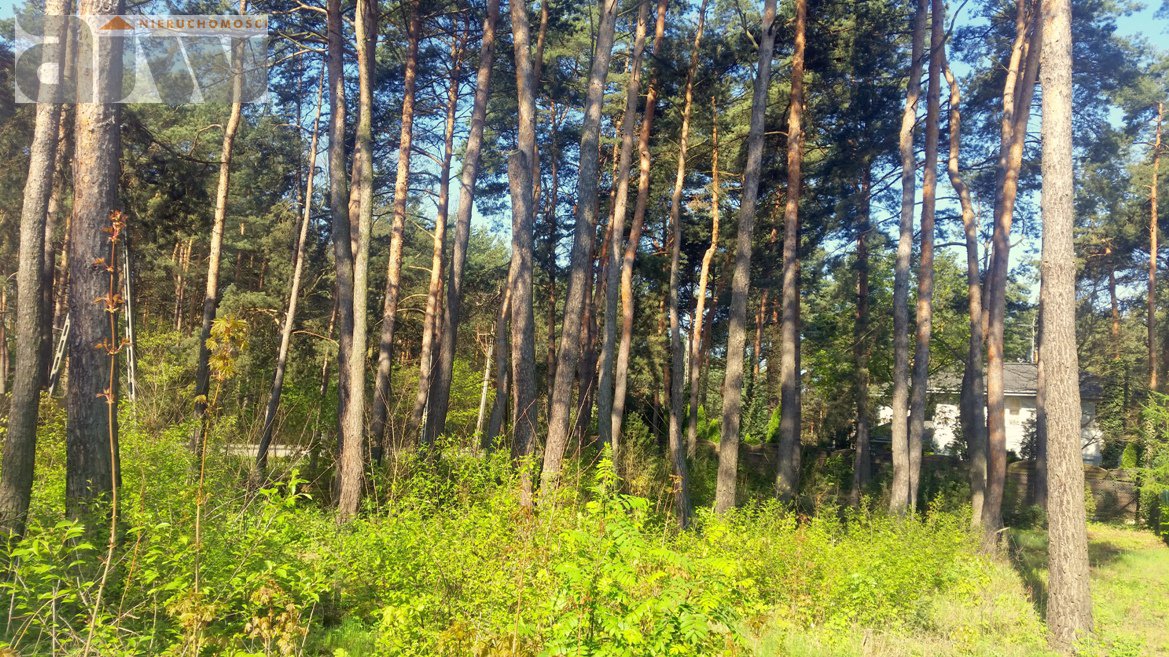 Oferujemy działkę w Izabelinie C o powierzchni 1180 mkw - zdjęcie 2