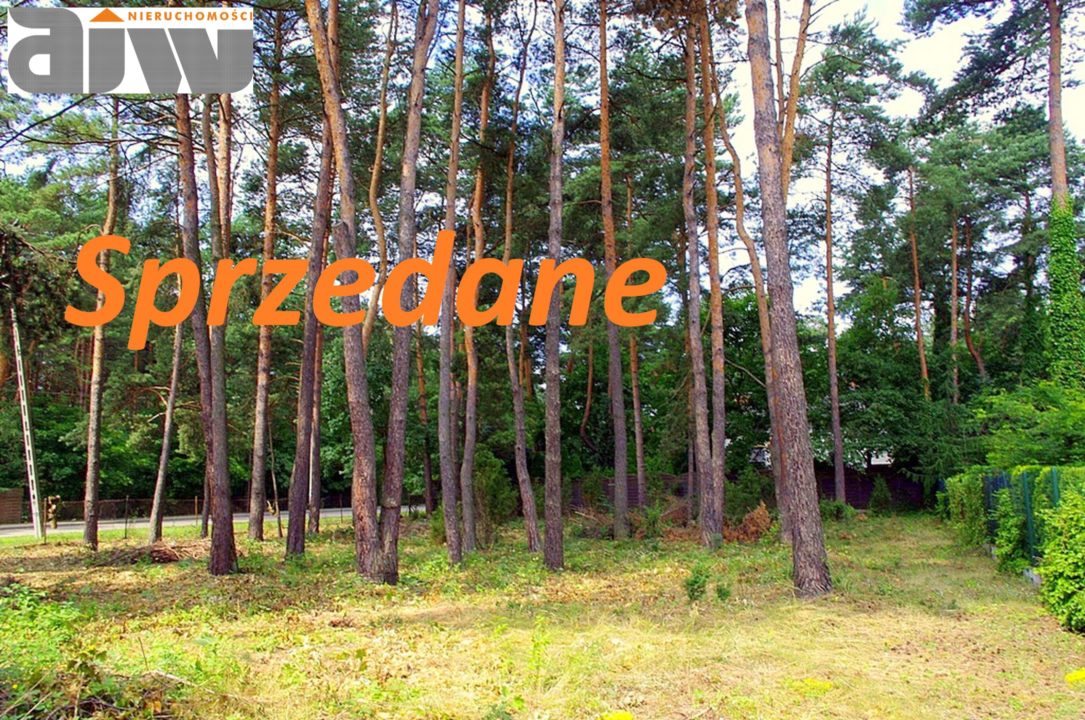 Oferujemy działkę w Izabelinie C o powierzchni 1180 mkw - zdjęcie 1