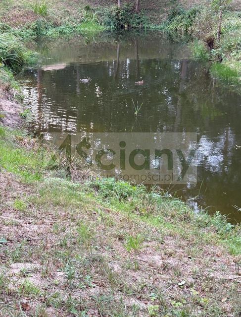 Dom 800&nbsp;m², Starowola - zdjęcie 6