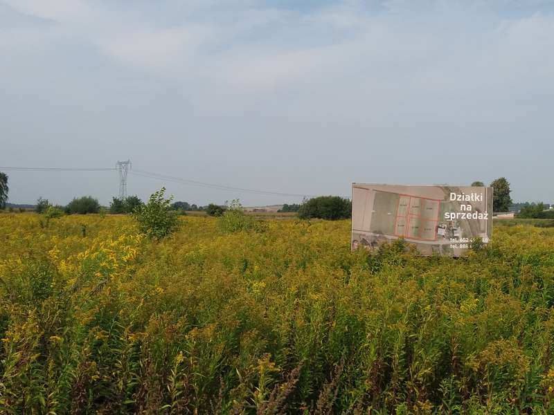 Działki budowlana lub pod działalność produkcyjno-usługową, hale magazynowe - zdjęcie 1