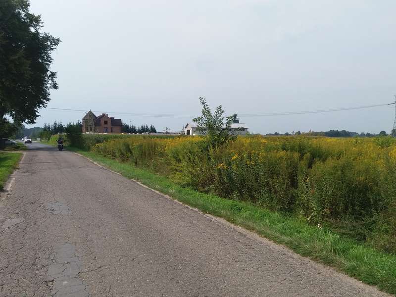 Działki budowlana lub pod działalność produkcyjno-usługową, hale magazynowe - zdjęcie 2