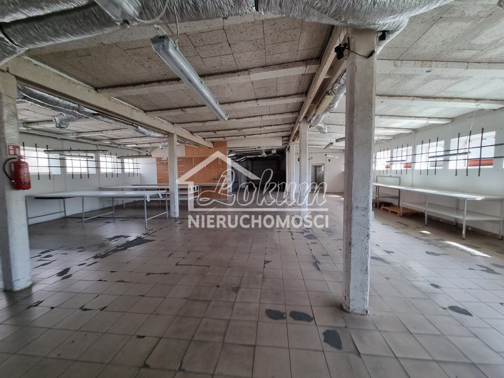 Magazyn do wynajęcia, 520&nbsp;m², Przecław - zdjęcie 5