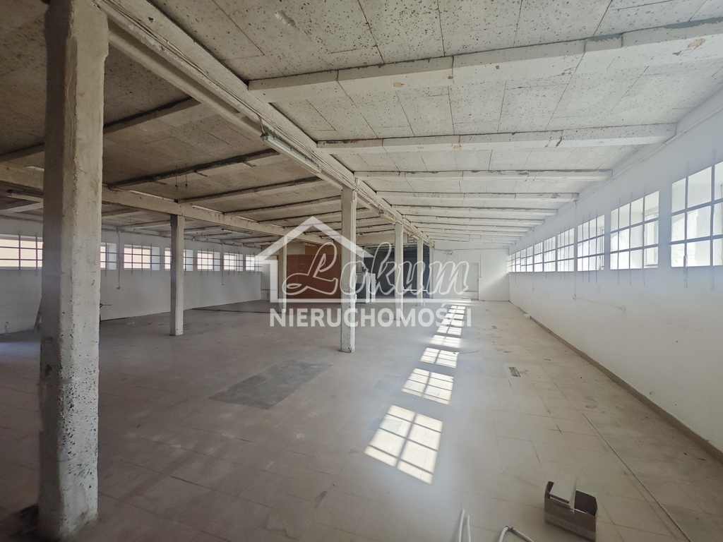 Magazyn do wynajęcia, 520&nbsp;m², Przecław - zdjęcie 4