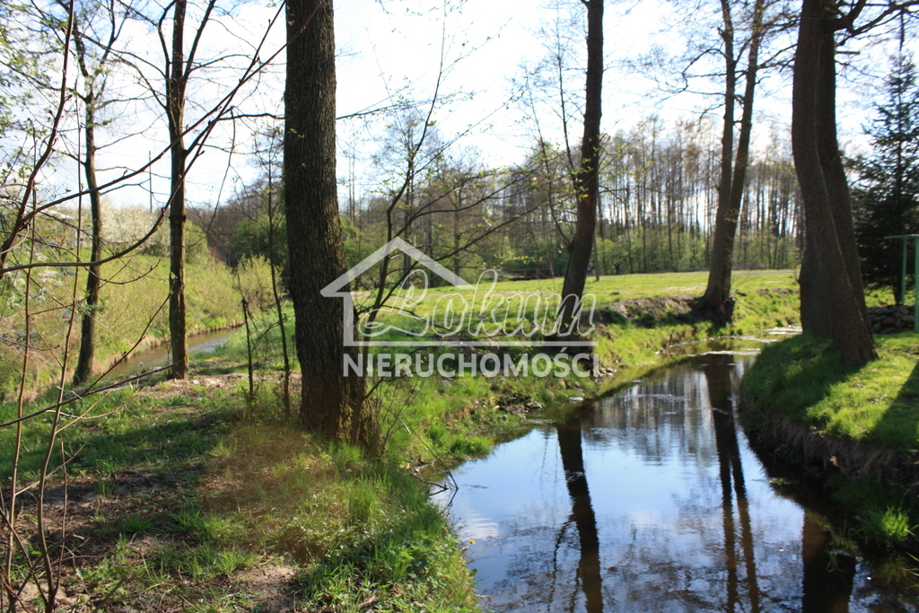 Lokal usługowy na sprzedaż, 550&nbsp;m², Świdwin - zdjęcie 13