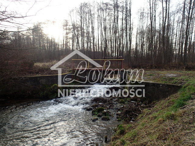 Lokal usługowy na sprzedaż, 550&nbsp;m², Świdwin - zdjęcie 4