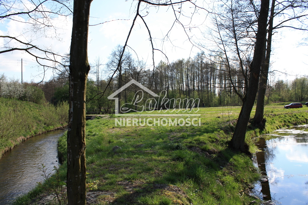 Lokal usługowy na sprzedaż, 550&nbsp;m², Świdwin - zdjęcie 14