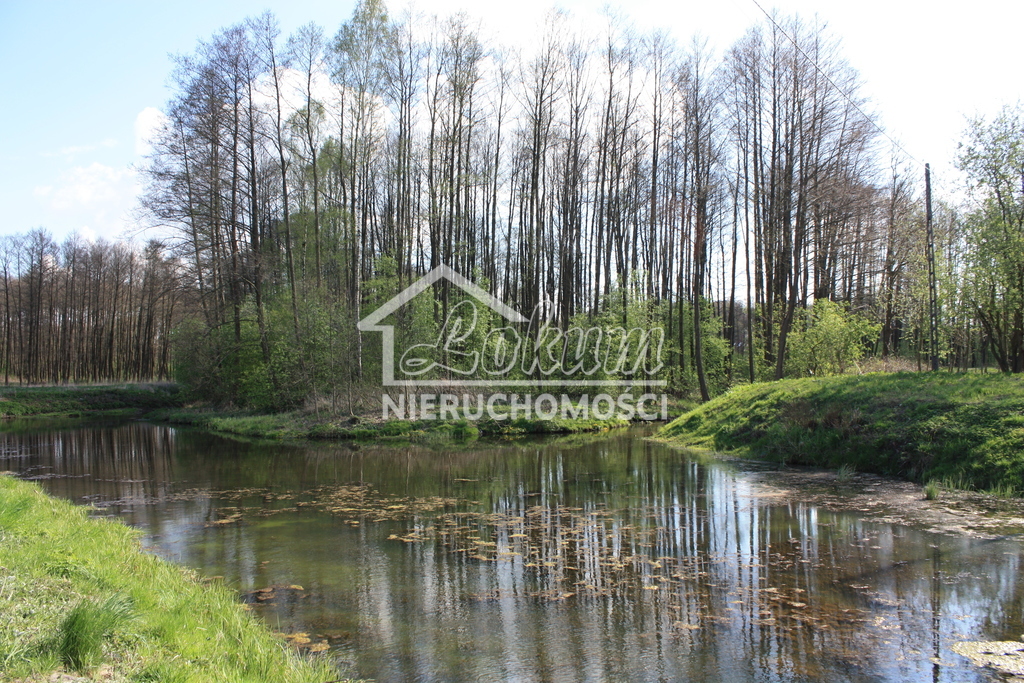 Lokal usługowy na sprzedaż, 550&nbsp;m², Świdwin - zdjęcie 15