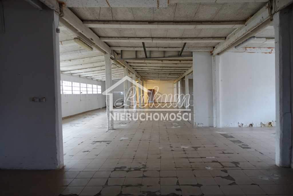 Magazyn do wynajęcia, 525&nbsp;m², Kołbaskowo - zdjęcie 13