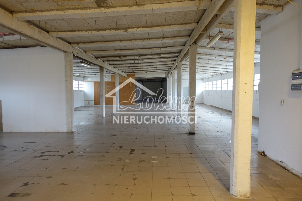 Magazyn do wynajęcia, 525&nbsp;m², Kołbaskowo - zdjęcie 5