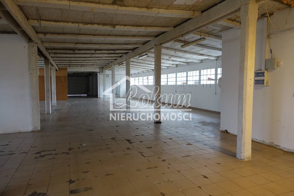 Magazyn do wynajęcia, 525&nbsp;m², Kołbaskowo - zdjęcie 6