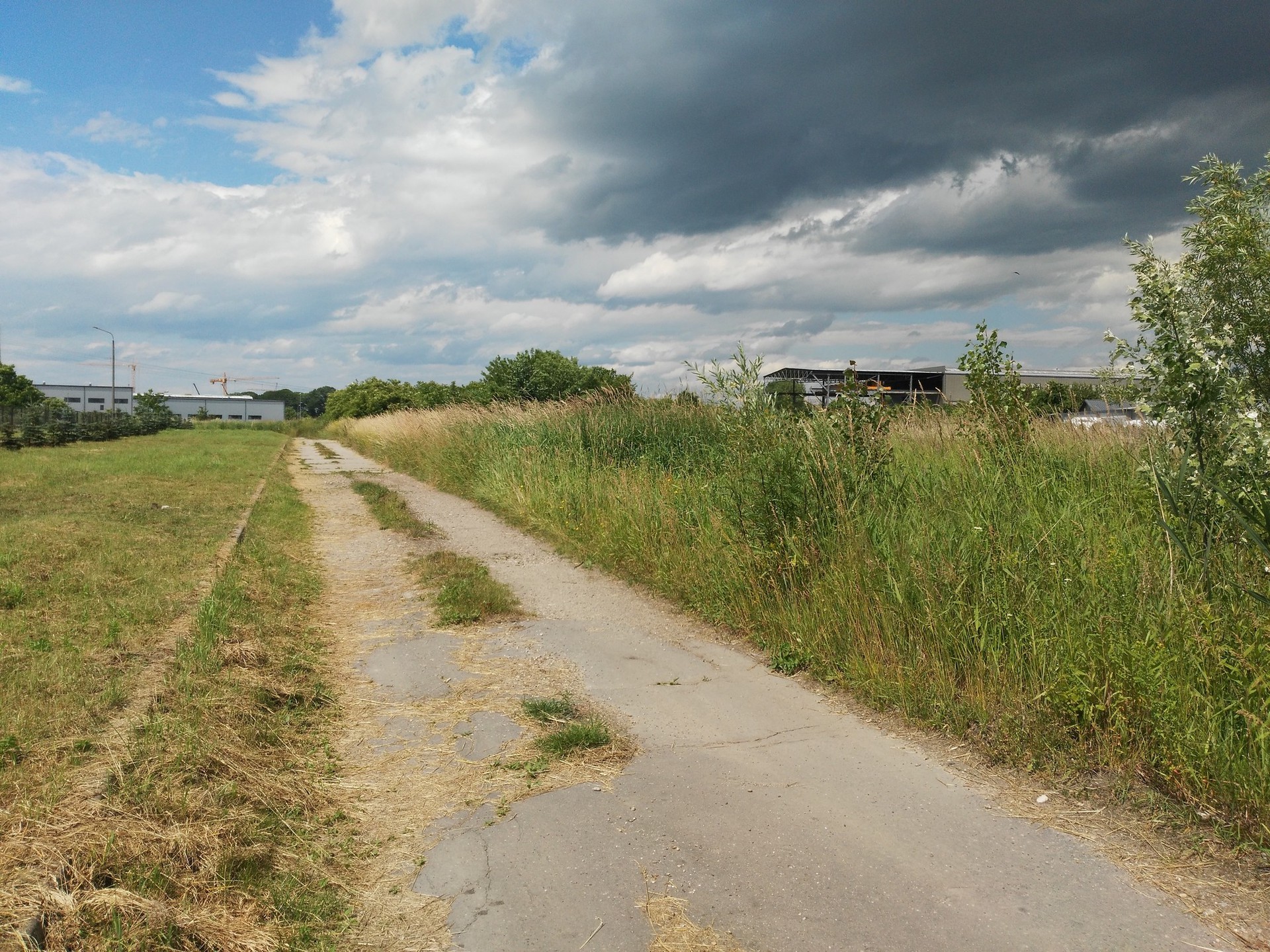 Na Sprzedaż Działka Inwestycyjno-Usługowa 51 ar - zdjęcie 1