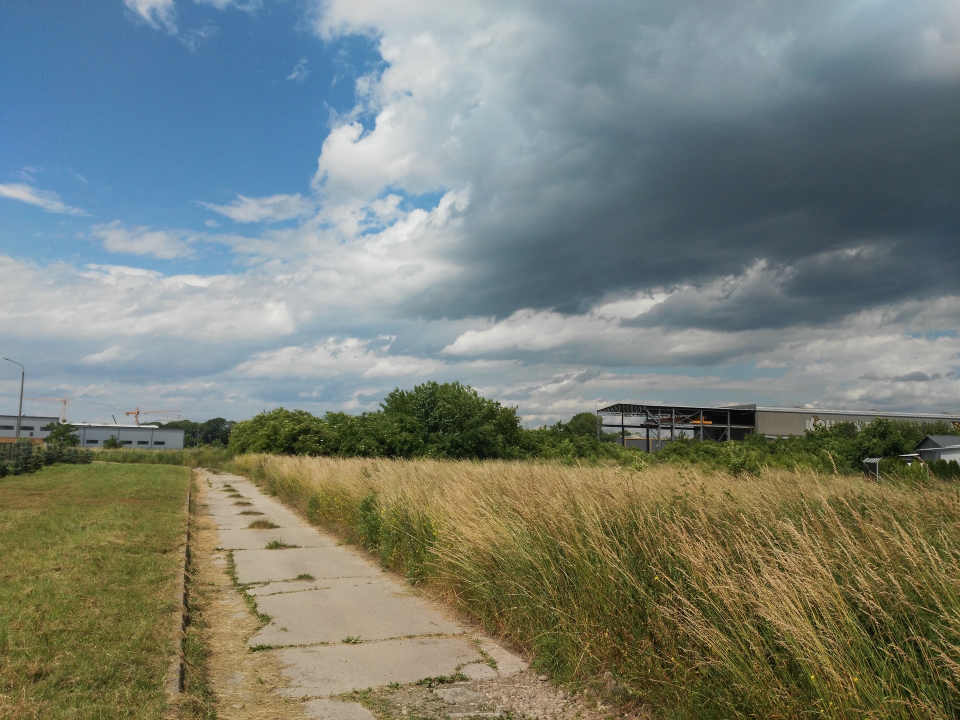 Na Sprzedaż Działka Inwestycyjno-Usługowa 51 ar - zdjęcie 2