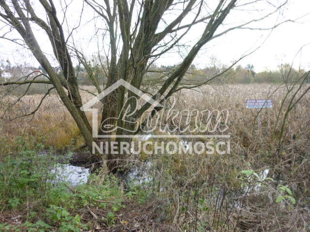 Działka rekreacyjna 1,06&nbsp;ha, Szczecin, Gumieńce, Zuzanny - zdjęcie 6