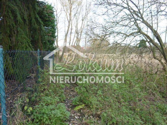 Działka rekreacyjna 1,06&nbsp;ha, Szczecin, Gumieńce, Zuzanny - zdjęcie 7