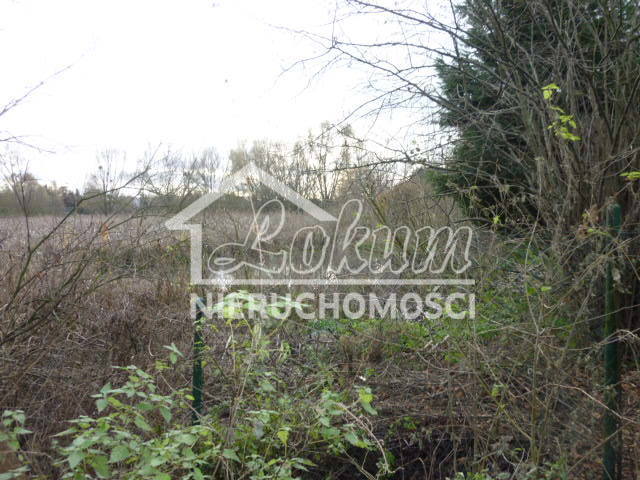 Działka rekreacyjna 1,06&nbsp;ha, Szczecin, Gumieńce, Zuzanny - zdjęcie 13