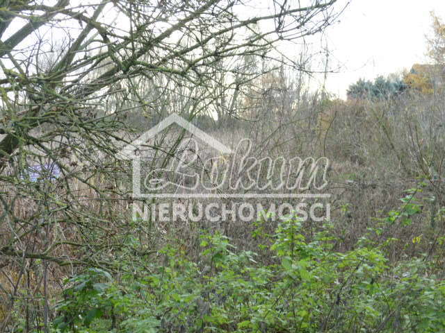 Działka rekreacyjna 1,06&nbsp;ha, Szczecin, Gumieńce, Zuzanny - zdjęcie 12