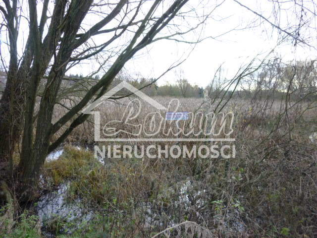 Działka rekreacyjna 1,06&nbsp;ha, Szczecin, Gumieńce, Zuzanny - zdjęcie 9