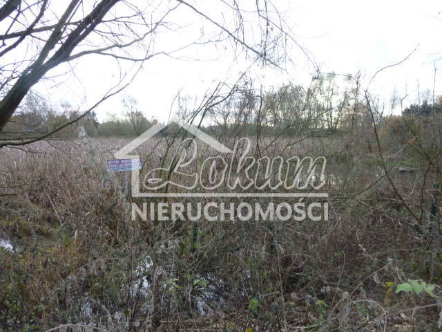 Działka rekreacyjna 1,06&nbsp;ha, Szczecin, Gumieńce, Zuzanny - zdjęcie 8