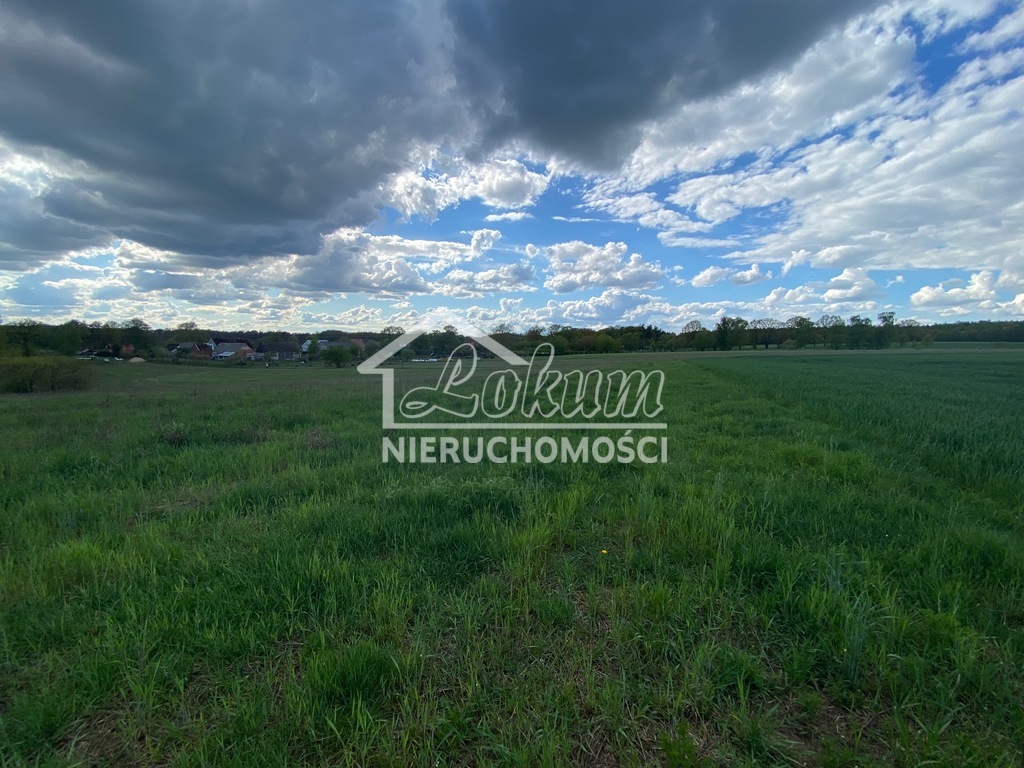 Działka budowlana 6700&nbsp;m², Rogowo - zdjęcie 3