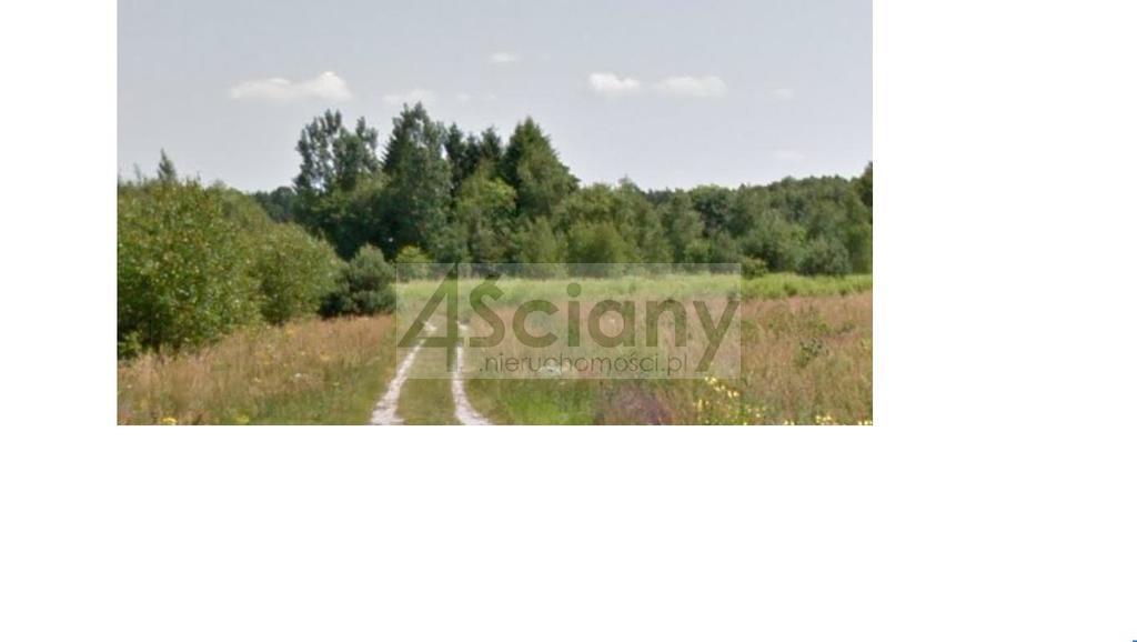 Działka budowlana 3145 m², Strzeniówka - zdjęcie 1