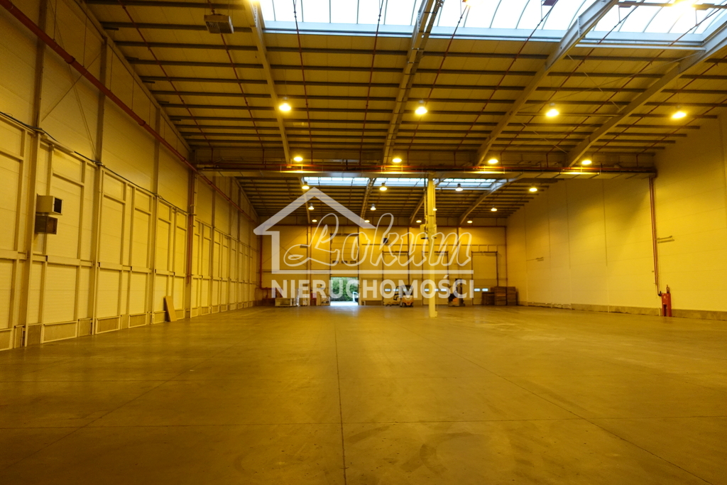 Magazyn do wynajęcia, 2278&nbsp;m², Kołbaskowo - zdjęcie 16
