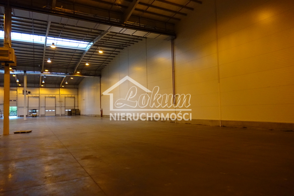 Magazyn do wynajęcia, 2278&nbsp;m², Kołbaskowo - zdjęcie 2
