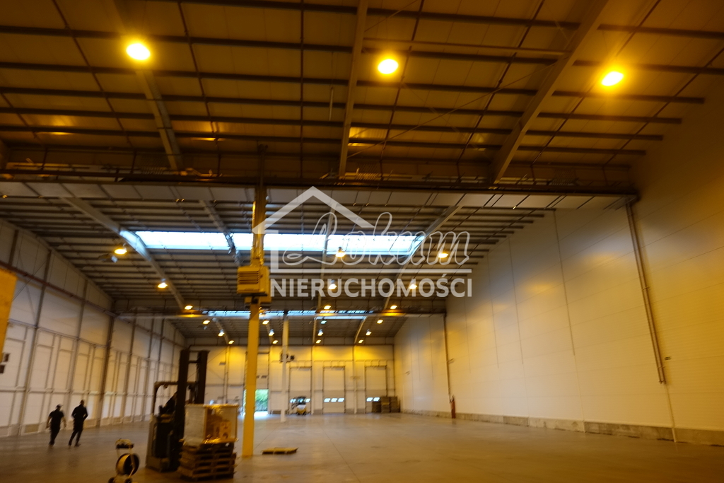 Magazyn do wynajęcia, 2278 m², Kołbaskowo - zdjęcie 3