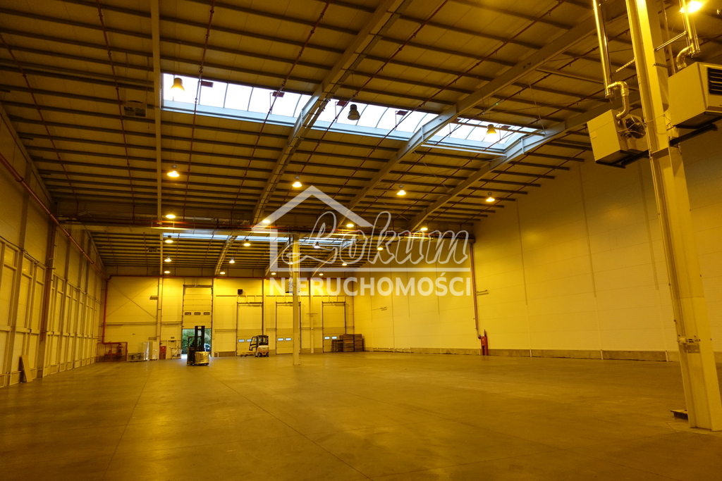 Magazyn do wynajęcia, 2278 m², Kołbaskowo - zdjęcie 14