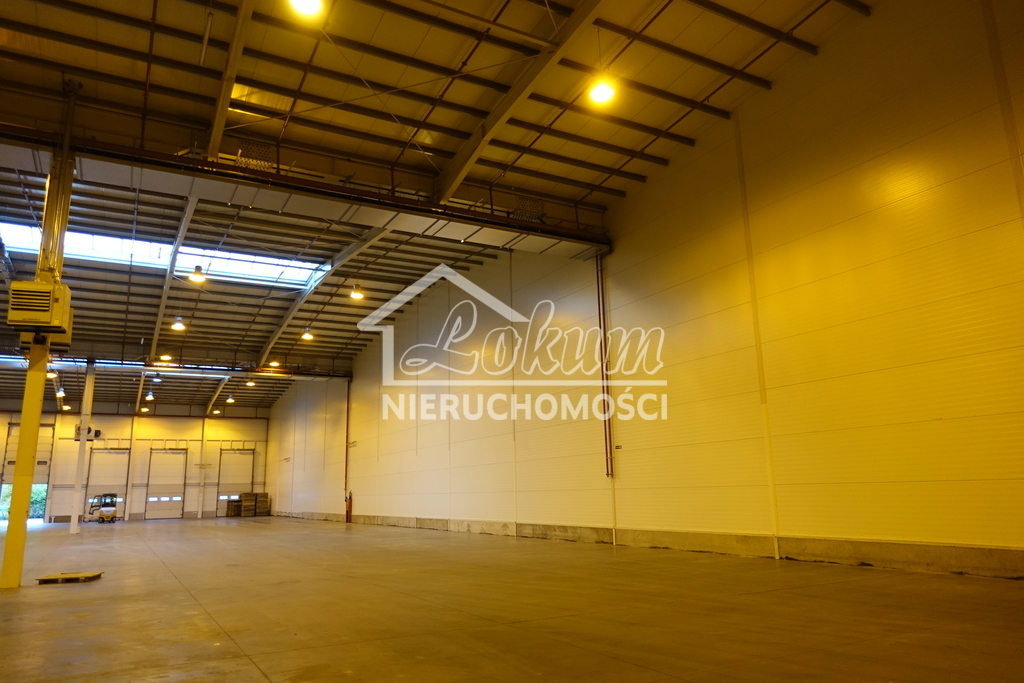 Magazyn do wynajęcia, 2278 m², Kołbaskowo - zdjęcie 4