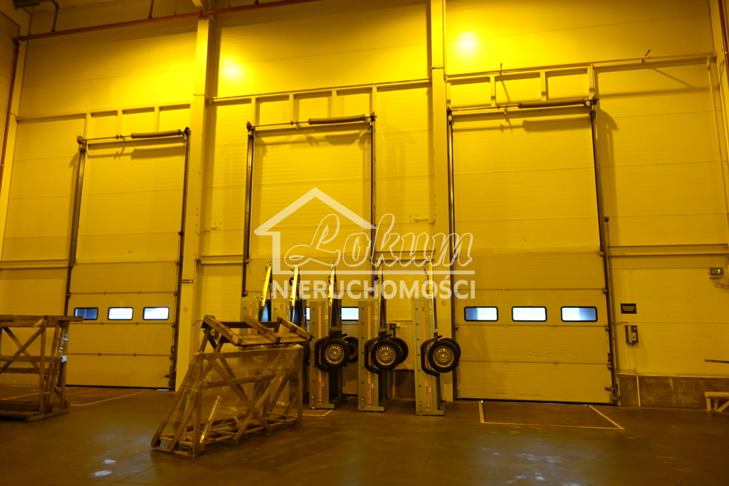 Magazyn do wynajęcia, 2278&nbsp;m², Kołbaskowo - zdjęcie 5