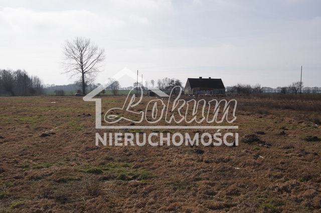 Działka rolna 3000&nbsp;m², Jarzębowo - zdjęcie 2