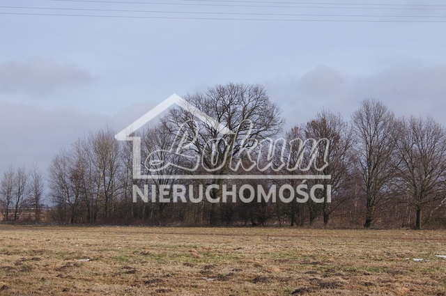 Działka rolna 3000&nbsp;m², Jarzębowo - zdjęcie 3