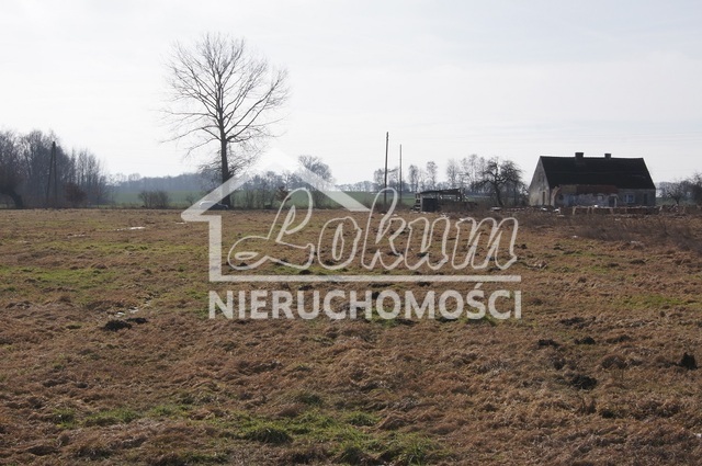 Działka rolna 3167&nbsp;m², Jarzębowo - zdjęcie 1