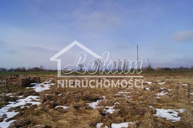 Działka rolna 3935&nbsp;m², Jarzębowo - zdjęcie 1