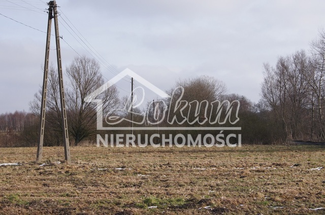 Działka rolna 3935&nbsp;m², Jarzębowo - zdjęcie 3