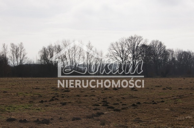 Działka rolna 3000&nbsp;m², Jarzębowo - zdjęcie 2