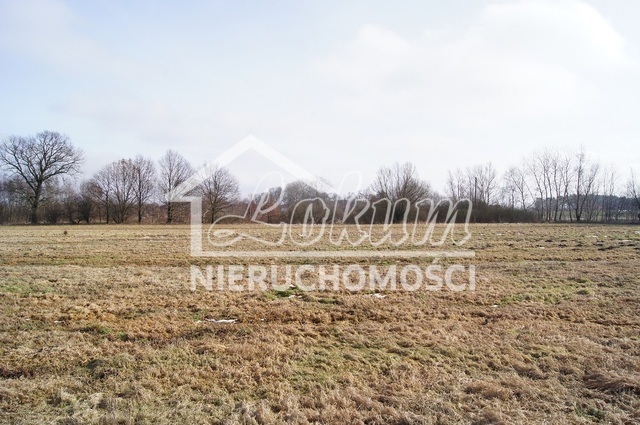 Działka rolna 3000&nbsp;m², Jarzębowo - zdjęcie 1