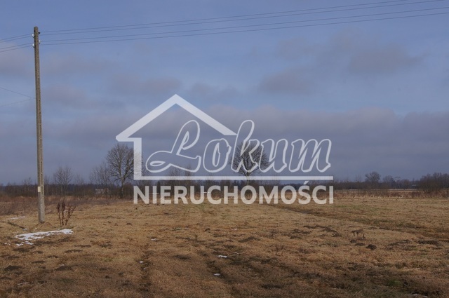 Działka rolna 3000&nbsp;m², Jarzębowo - zdjęcie 2