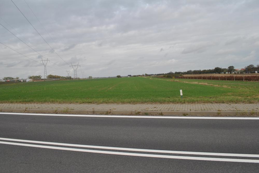 Wynajmę działkę 8500&nbsp;m², Swadzim, Poznańska - zdjęcie 5